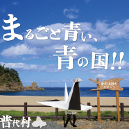 普代村